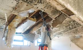 Best Mold Odor Removal Services  in Merrionette Park, IL